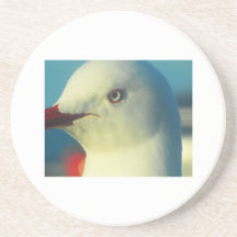 birds eye coaster