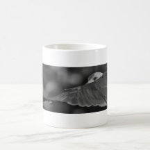 Bird's Eye View Mugs
