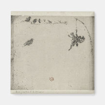Birds Magnet