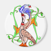 Birds Magnet