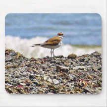 Birds Oceans Beaches Mousepad