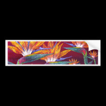 Birds Of Paradise Tropical Flower - Multi bumper stickers