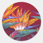 Birds Of Paradise Tropical Flower - Multi Sticker