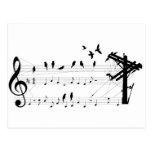Birds on a Score postcard