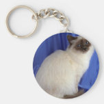 Birman, blue point key chains