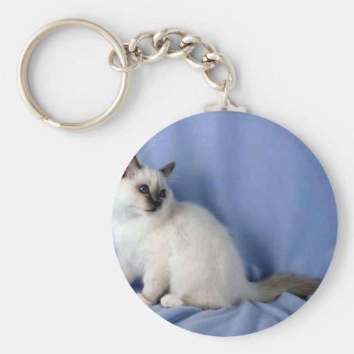Birman, lilac point key chain