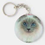Birman, lilac point key chains
