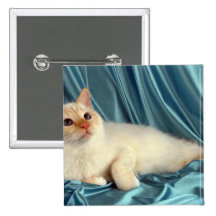 Birman, red point button