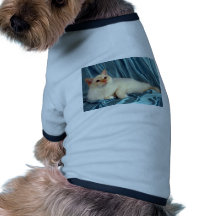 Birman, red point dog tee