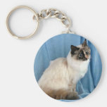 Birman, seal tortie point key chain