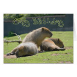 Birthday Card with Capybara
