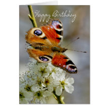 Birthday Card With Peacock Butterfly