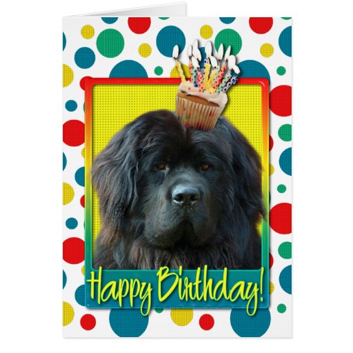 Birthday Cupcake - Newfoundland Greeting Card