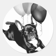 Birthday French Bulldog stickers