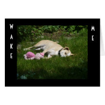 BIRTHDAY NAP GREETING CARD