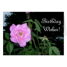 Birthday Pink Roses before a storm Cards