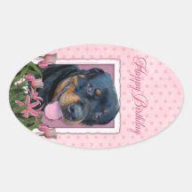 Birthday - Pink Tulips - Rottweiler - Harley Oval Stickers
