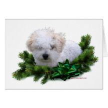 Bishon Frise Holiday Greeting Card