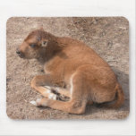Bison bison mouse pad