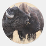 bison round sticker