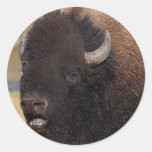 bison sticker