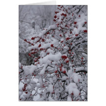 BITTERSWEET NOTE CARD