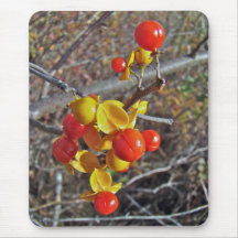 Bittersweet Vine Berries Items Mousepads