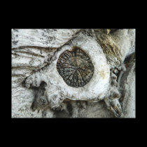 Bizarre tree abstract round shape canvas prints