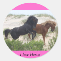 Black and Brown Wild Corolla Horses Stickers
