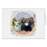Black and Wheaten Scottish Terriers Card