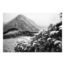 Black and white landscape with hydrangeas photographic print