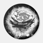 Black And White Rose Fine Art Magnets