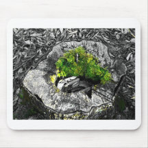 black and white with a touch of green. mouse pads