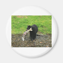 Black Bear Fridge Magnets