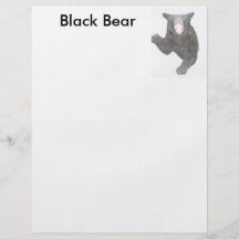 Black Bear Full Color Flyer