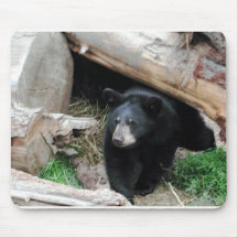 black-bear-in-cave mouse pads