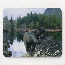 Black Bear & Lake Wildlife Mousepad