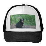 black bear mesh hat