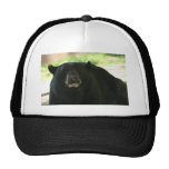 black bear mesh hats