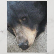 black bear personalized flyer