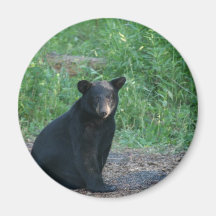 black bear refrigerator magnets