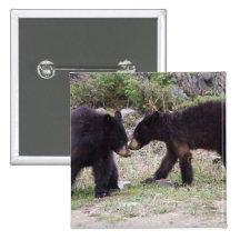 Black Bears Cubs Button