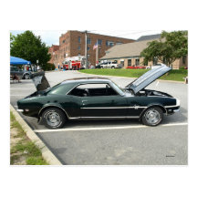 Black Beauty 2 Post Cards