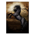 Black Beauty Card