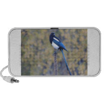 Black Billed Magpie Speaker System