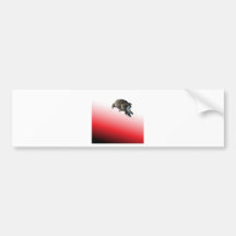 Black bird predator aggressive hawk bumper stickers
