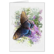 Black butterfly #2 blank greeting cards