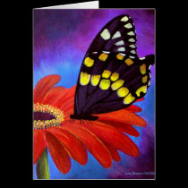 Black Butterfly Daisy Painting - Multi cards