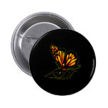 Black Butterfly Eye Pinback Buttons