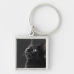 Black cat against black background, close-up key chain